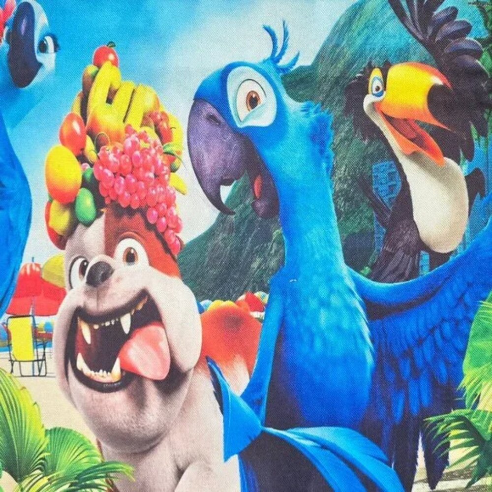 5 PCS set of 3D Print Cushion Cover 16” x 16” Rio Disney Movie